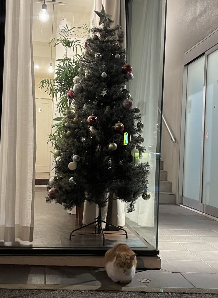 ネッコとクリスマス