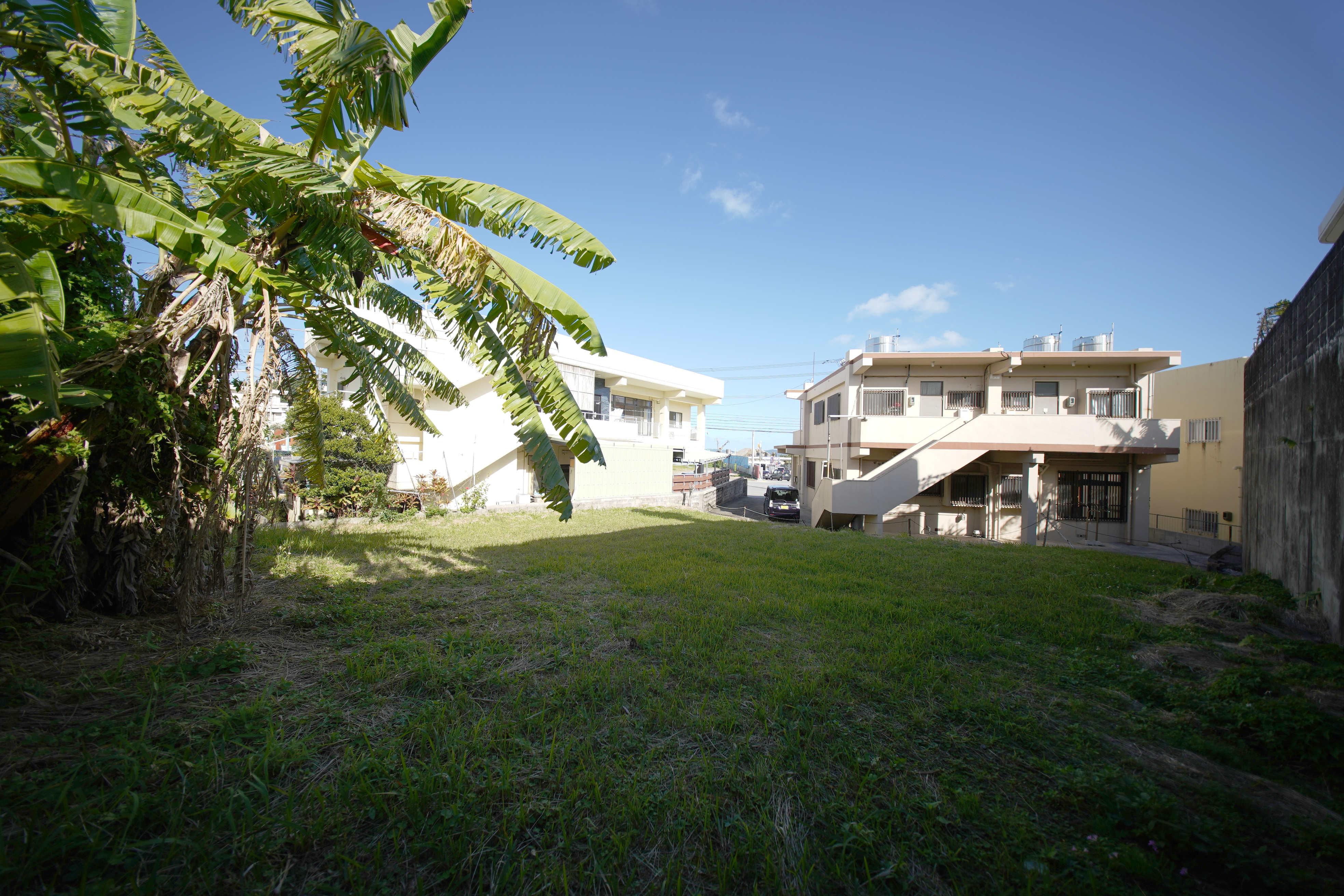 建物裏手空き地